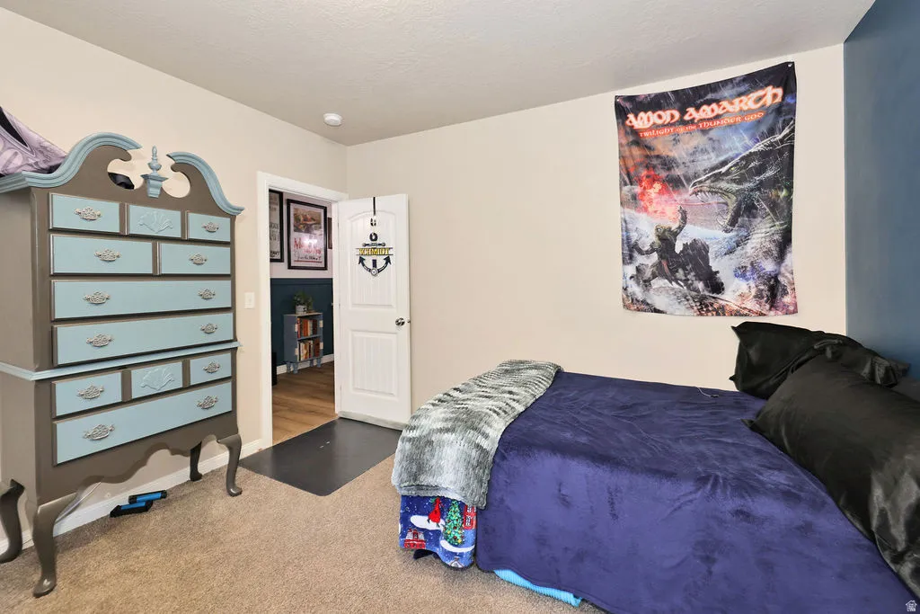 Carpeted flooring, painted walls, interior door, and overhead lighting