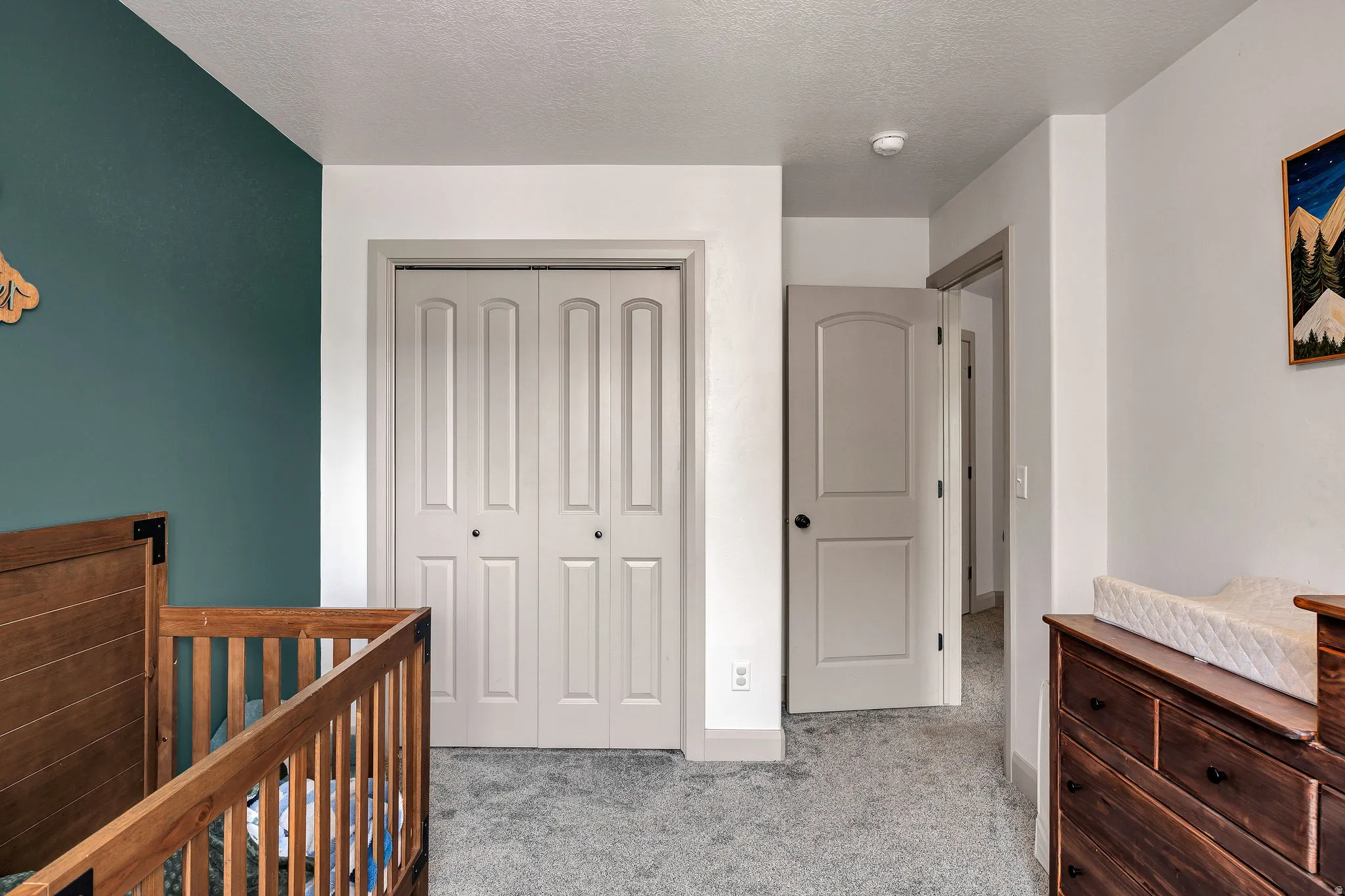 Carpeted flooring, paneled doors, and painted walls