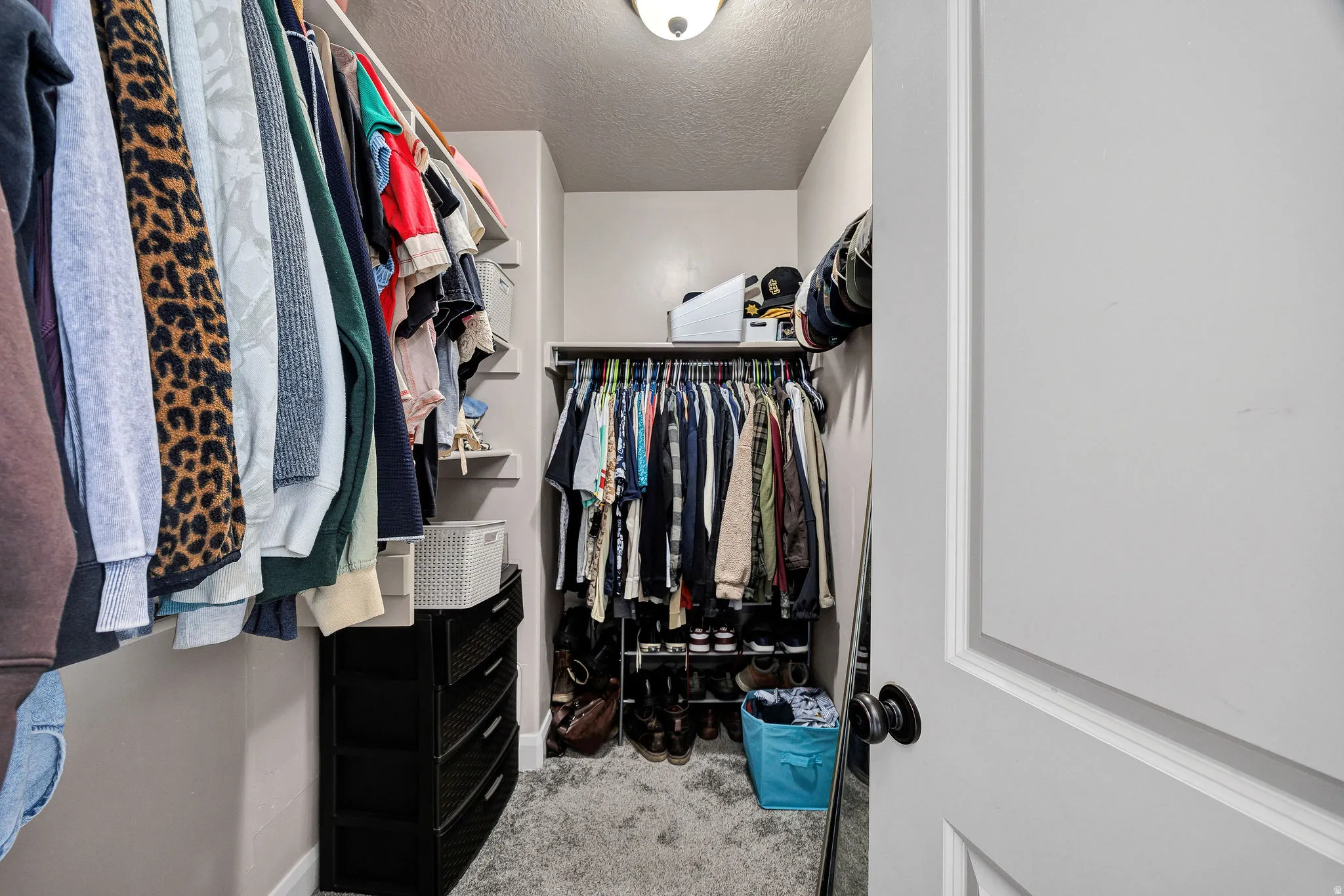 Walk-in closet featuring carpet flooring, built-in shelving, and recessed lighting