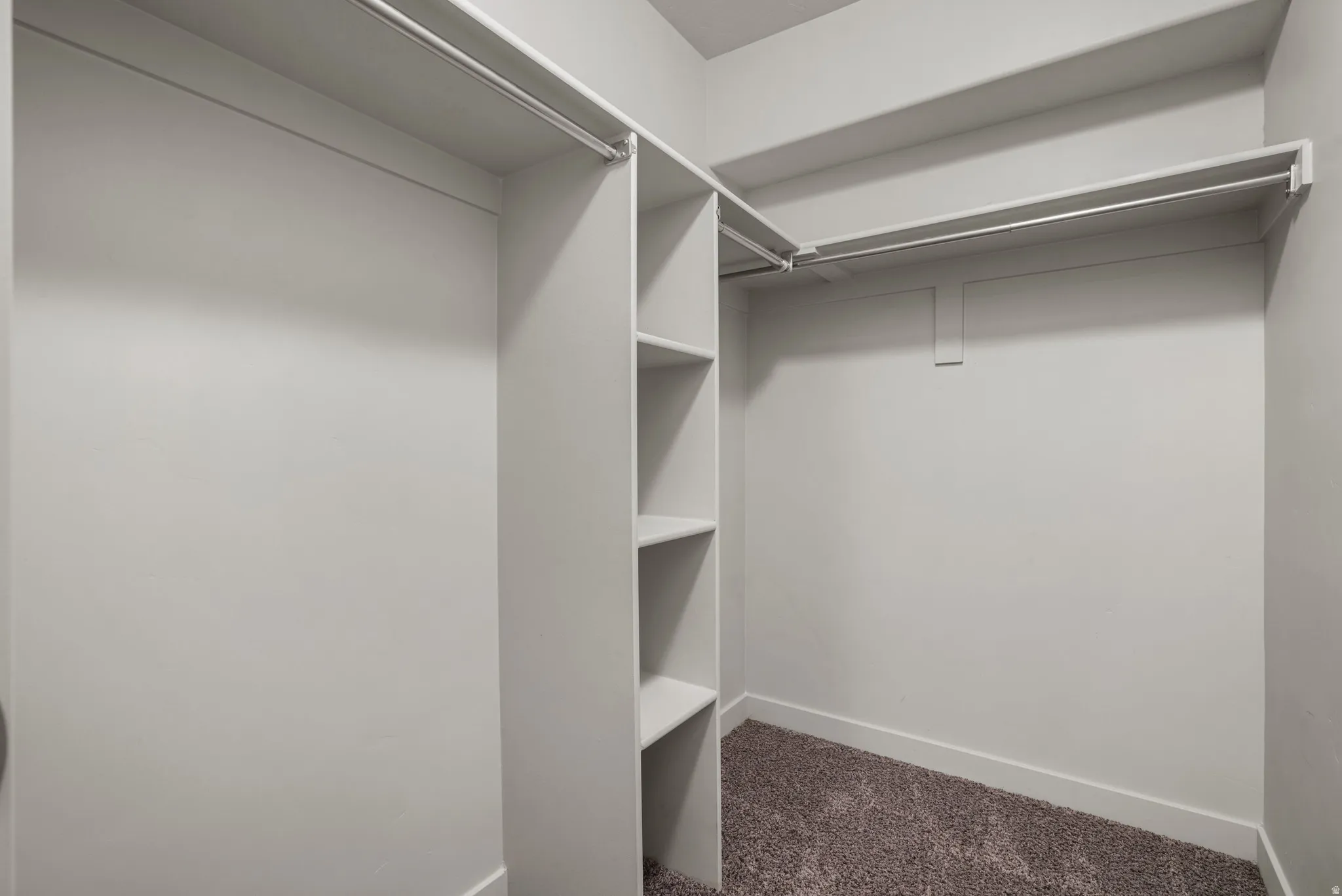 Walk-in closet with built-in shelving, multiple hanging rods, and carpet flooring