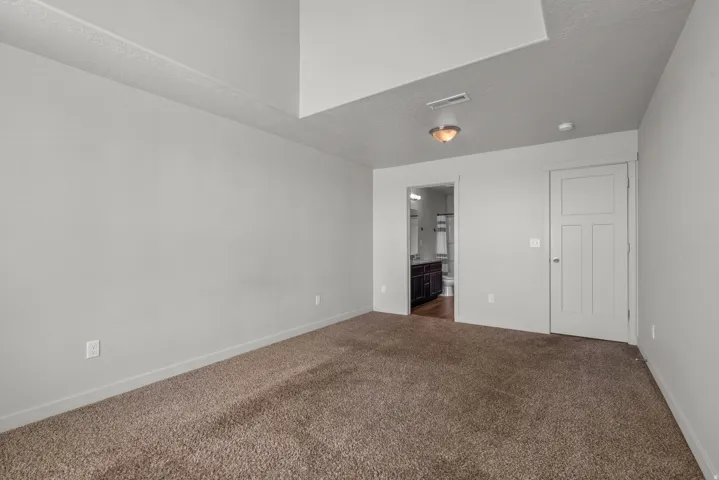 Spacious room featuring neutral carpeting, light gray wall paint, and a modern interior door with panel detailing