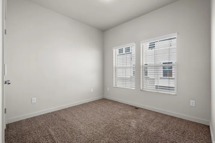 Neutral wall paint, plush carpet flooring, two windows with blinds, a modern door, and standard outlets