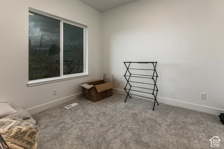 Neutral wall paint, white trim, and gray carpeted flooring