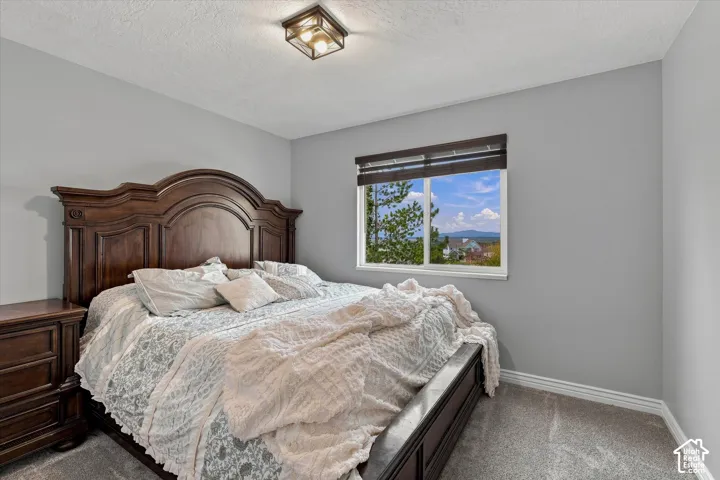 Wall-to-wall carpeting and neutral gray walls