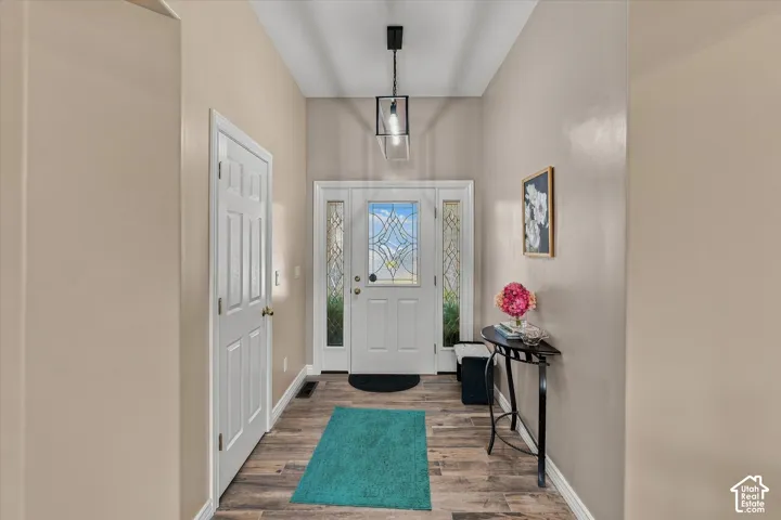 Entryway featuring wood-finish flooring, a white paneled door, and an overhead geometric light fixture