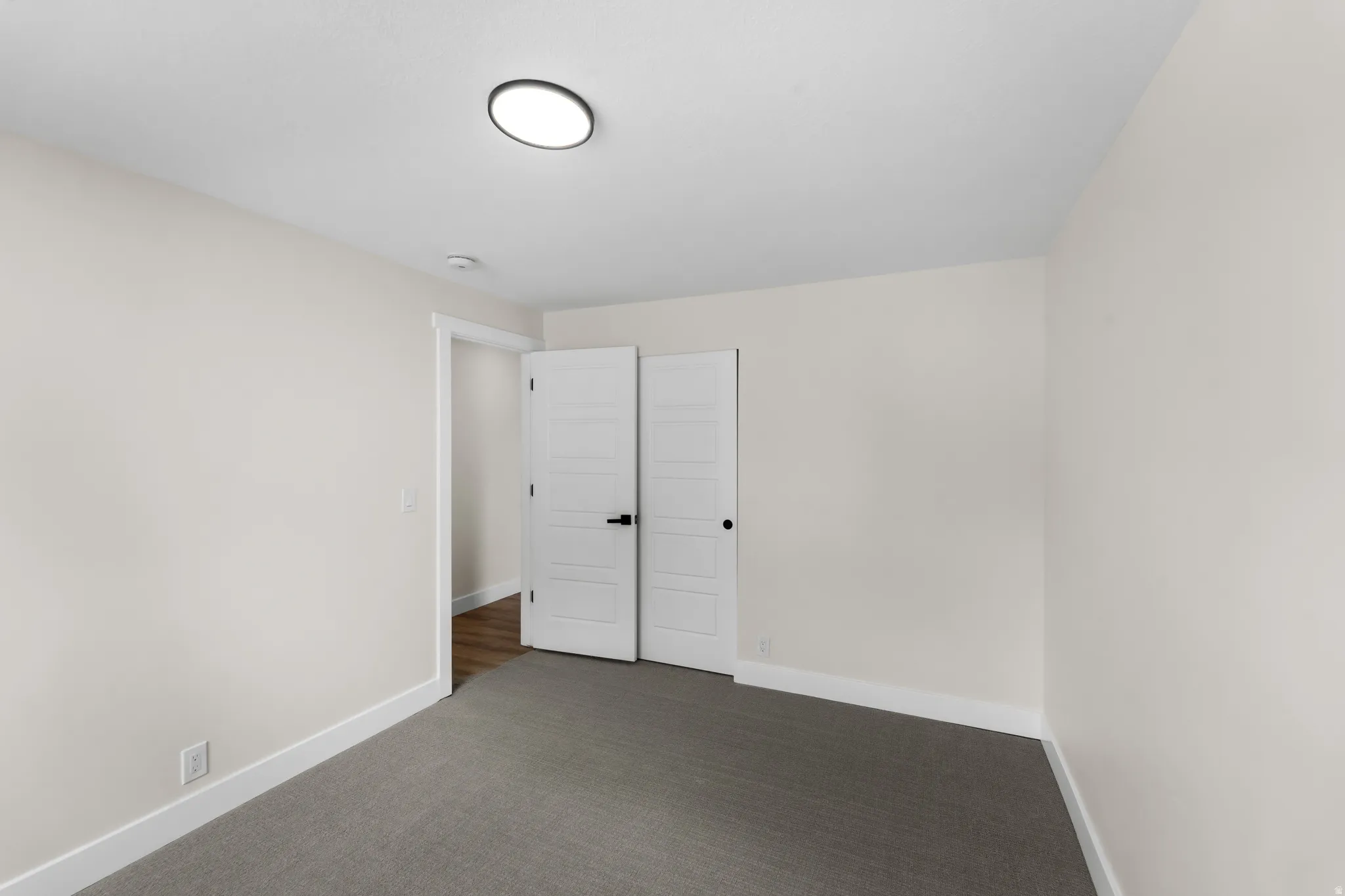 Neutral wall paint, gray carpeting, modern flush-mount ceiling light, white paneled doors, and dark door hardware