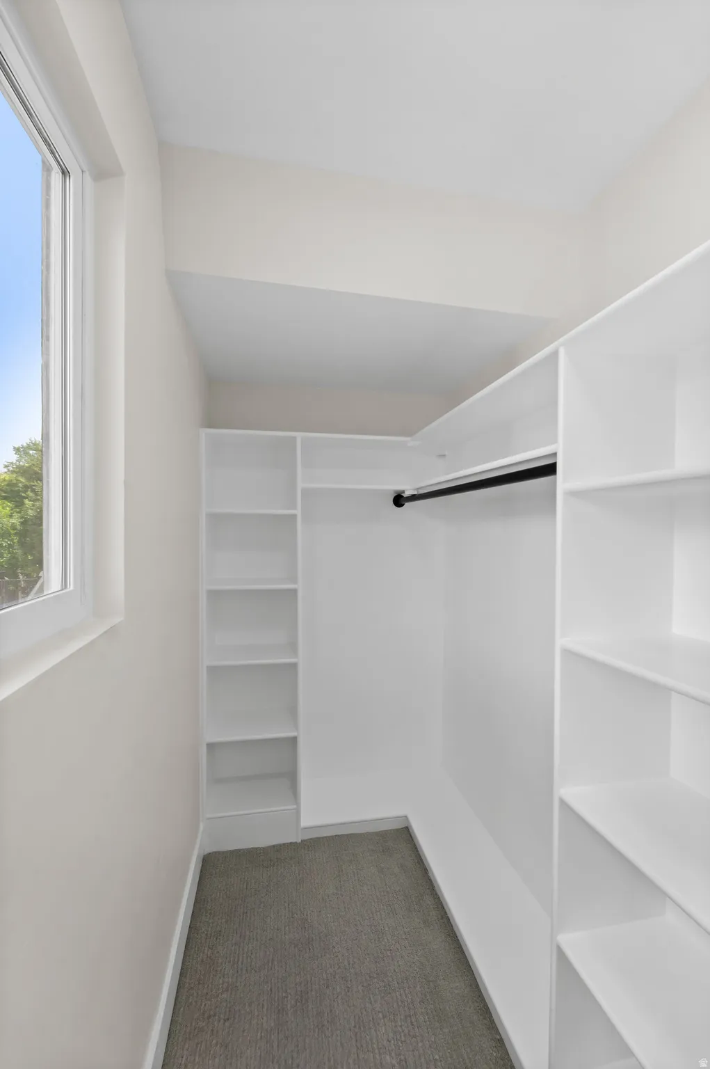 Built-in shelving, integrated hanging rod, natural light, and carpeted flooring