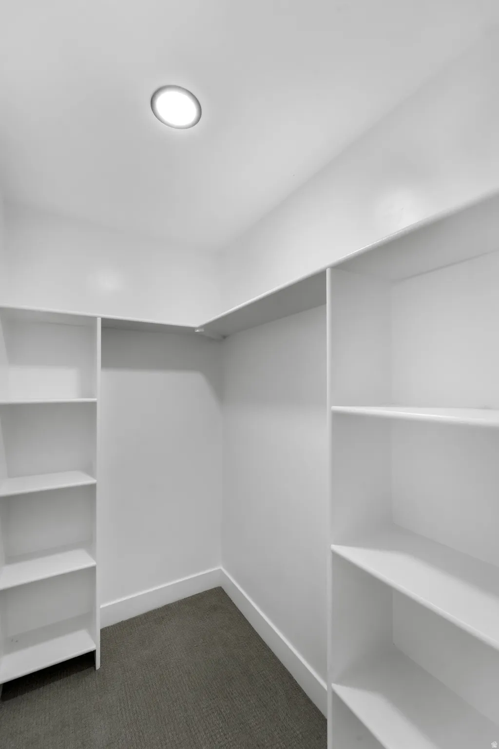 Recessed ceiling light, white painted walls, built-in shelving, white baseboards, and carpet flooring