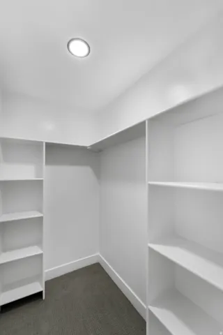 Recessed ceiling light, white painted walls, built-in shelving, white baseboards, and carpet flooring
