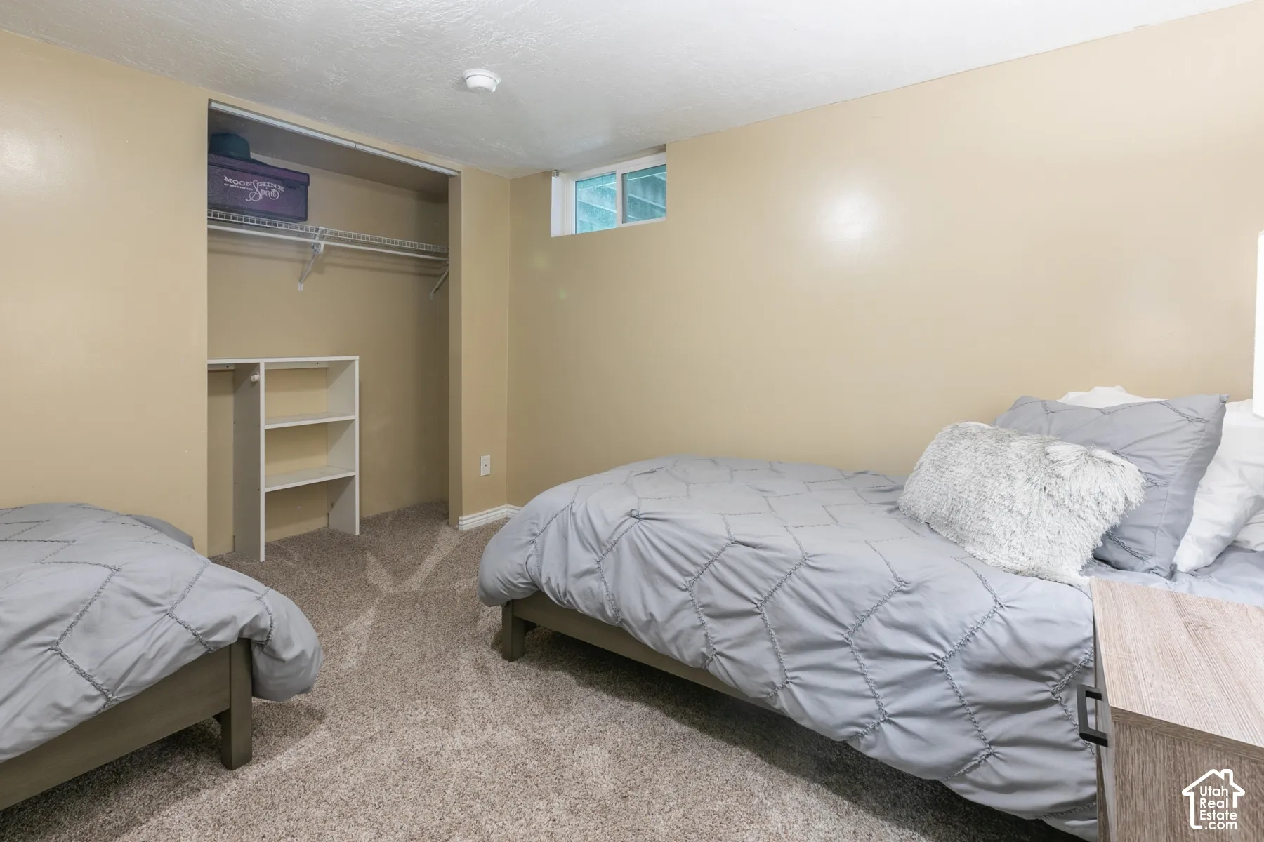 Neutral-toned walls, textured carpeting, built-in closet shelving, and a small transom window