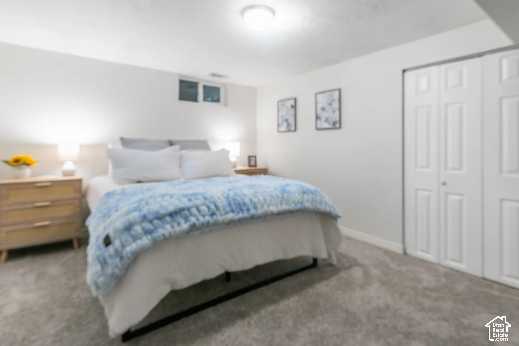 Wall-to-wall carpeting, light-toned walls, and a ceiling-mounted light fixture