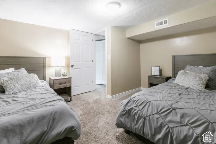 Plush carpeting, neutral wall tones, and white trim create a welcoming ambiance