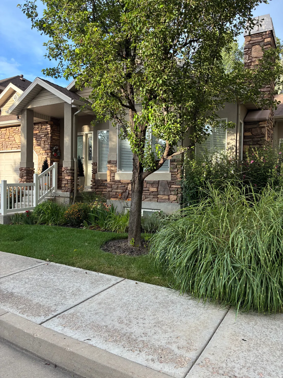 Front exterior featuring stone veneer accents, covered porch with columns, and a mature tree