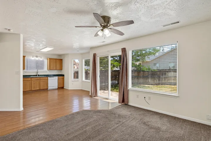 Open-concept living space with wood-finish flooring, a ceiling fan, and carpeted area