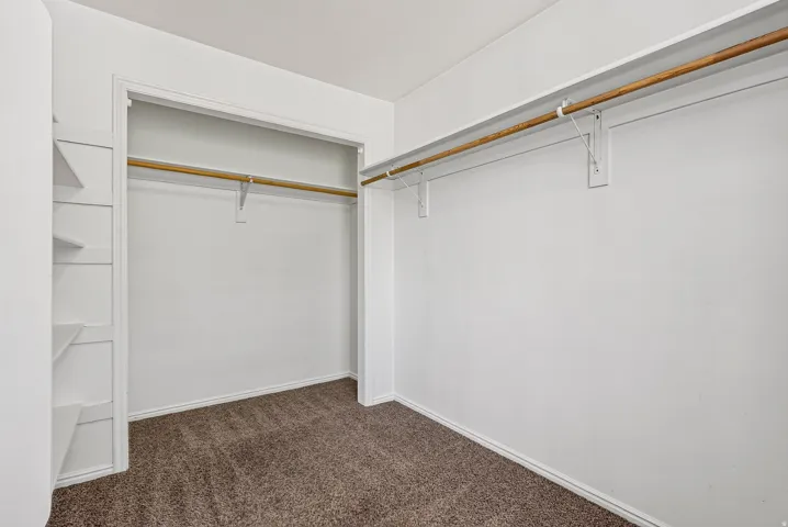 White walls, brown carpet, integrated shelving, and two clothing rods