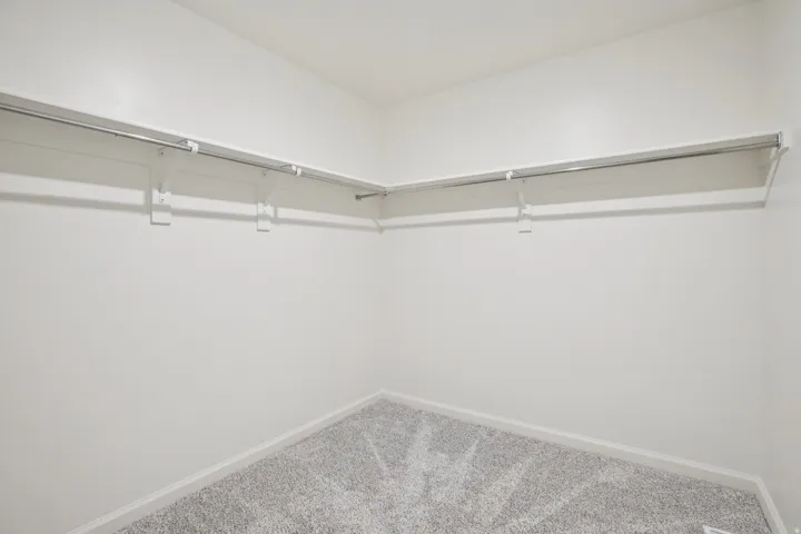 Walk-in closet with carpet flooring, white walls, and built-in shelving and hanging rods