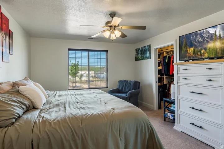 Carpeted flooring, ceiling fan with integrated lighting, window with horizontal blinds, and a walk-in closet with built-in shelving