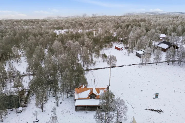 Log cabin style exterior with a contrasting orange roof, surrounded by extensive wooded acreage