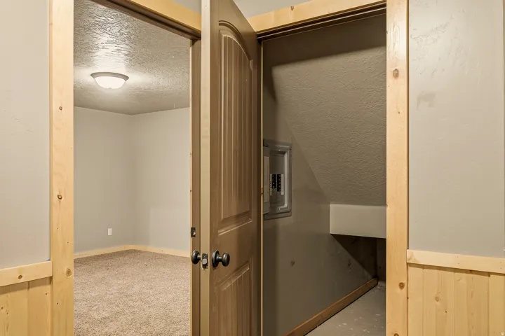 Wood-paneled walls and trim with a paneled interior door, recessed ceiling light fixture, and carpeted flooring