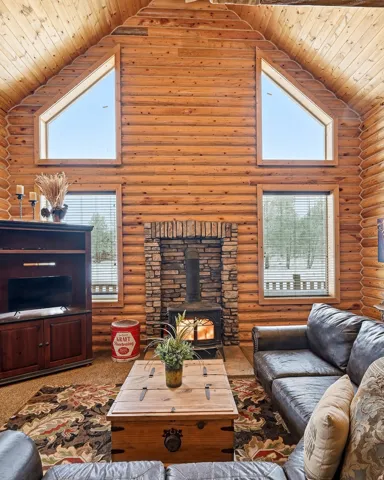 Vaulted wood-paneled ceiling, exposed log walls, stone fireplace surround, wood-burning stove, and triangular transom windows