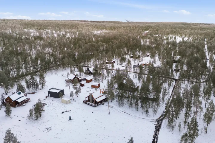Expansive forested terrain with multiple structures, natural tree coverage, and a network of pathways