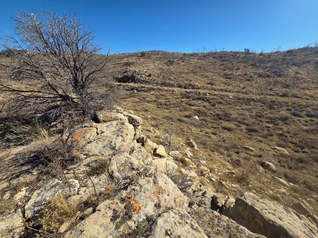 Trees and cool rock formations!