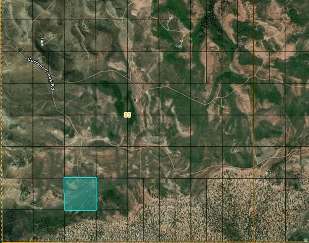 Assessor's Parcel Map. Indicating the property's boundaries and surrounding geographic features