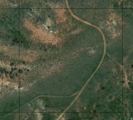 Aerial Imagery. Depicting the property’s topographical features and vegetation patterns