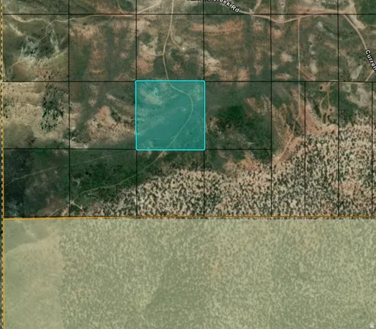 Plat Map. Illustrating the boundaries of the property within a larger land area, including geographical features and adjacent parcels