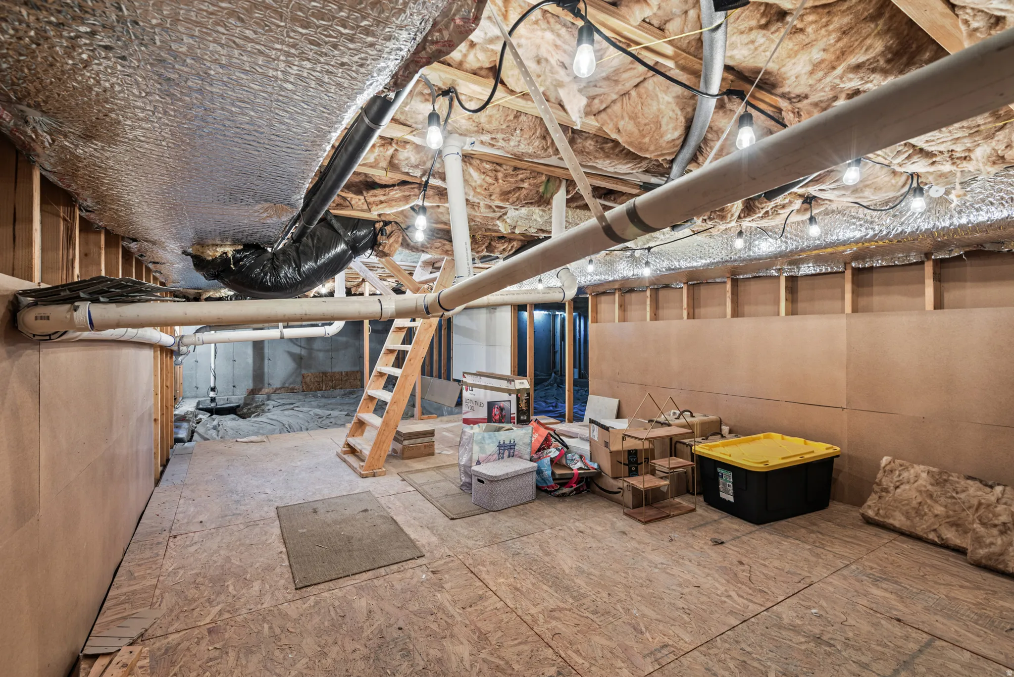 Basement Storage Area