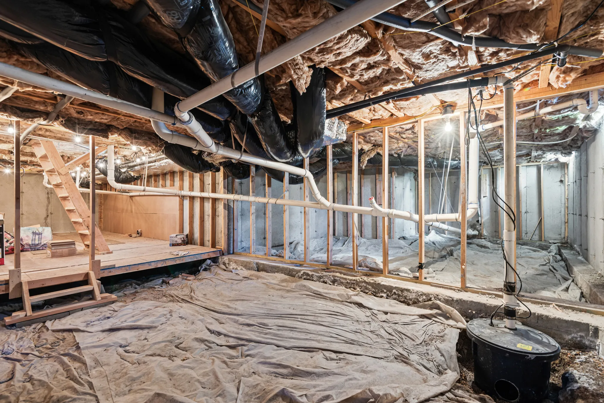 Basement Storage Area