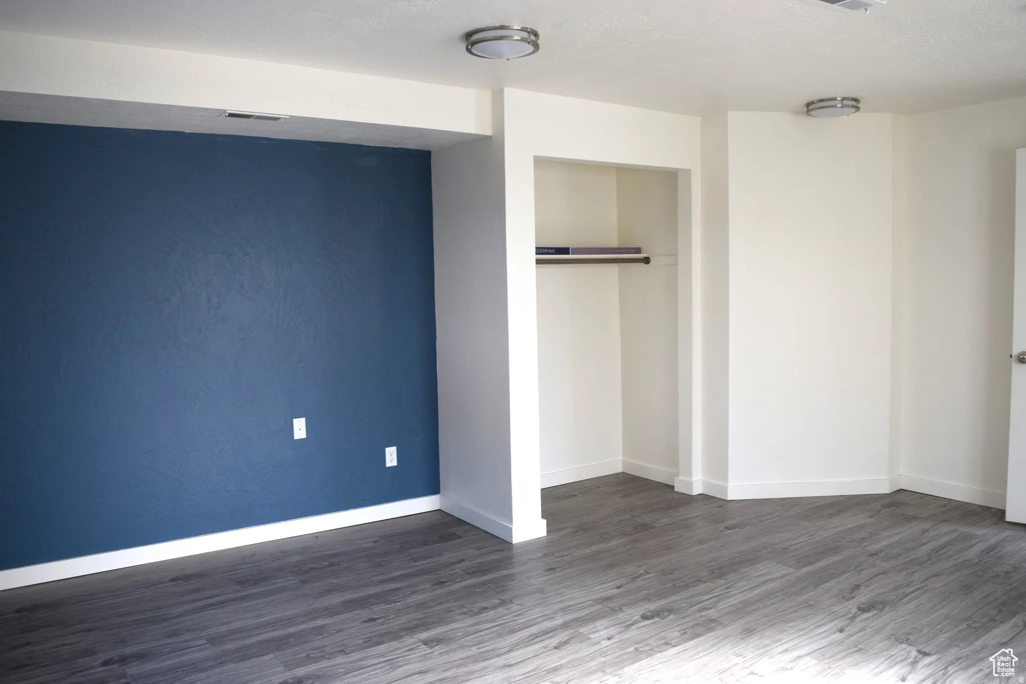 Wood-finish flooring, accent wall, built-in closet with hanging rod, flush mount lighting