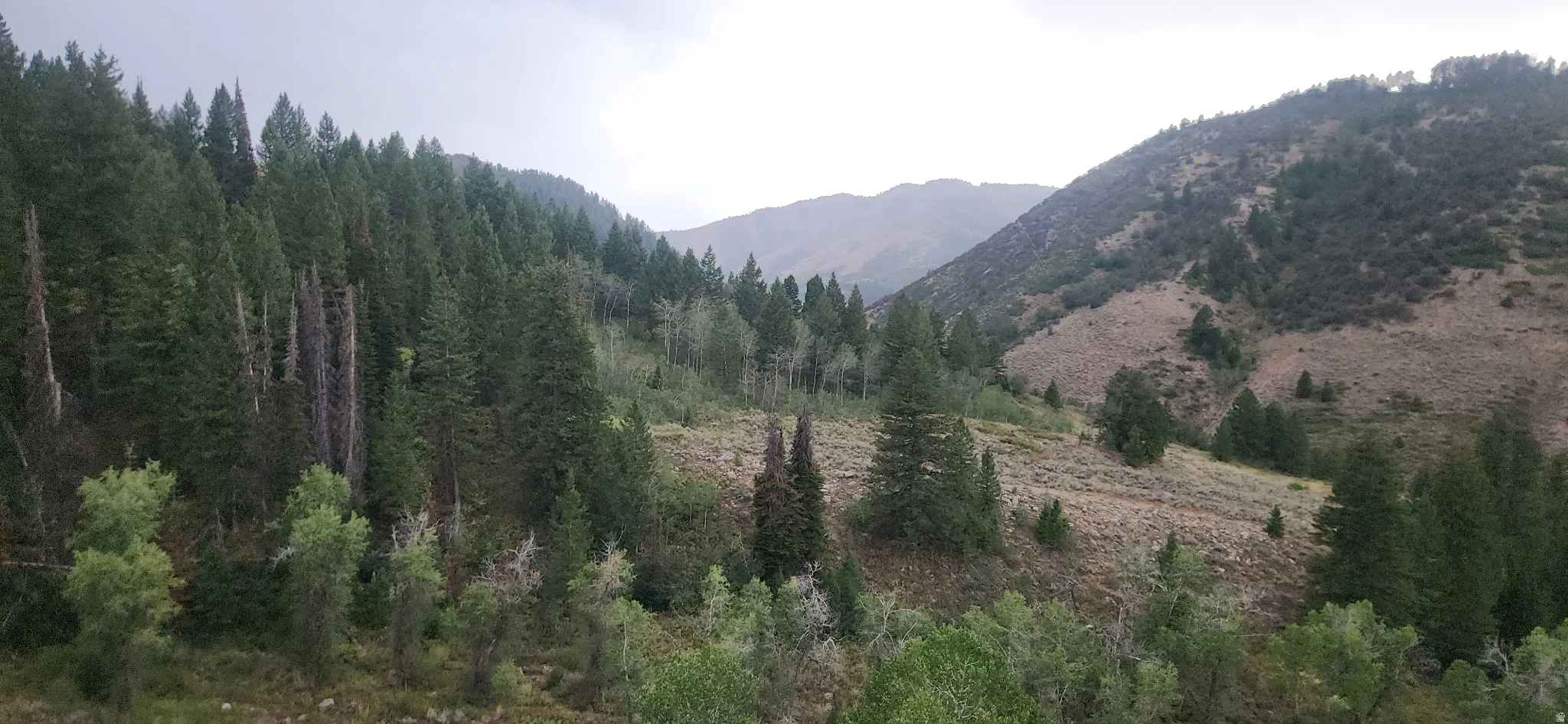 View of canyon from front deck