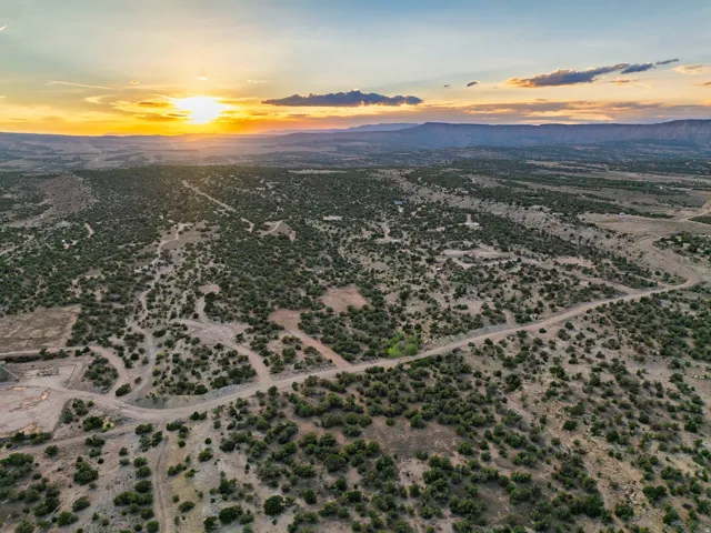 Expansive natural landscape with scattered vegetation and unpaved roads