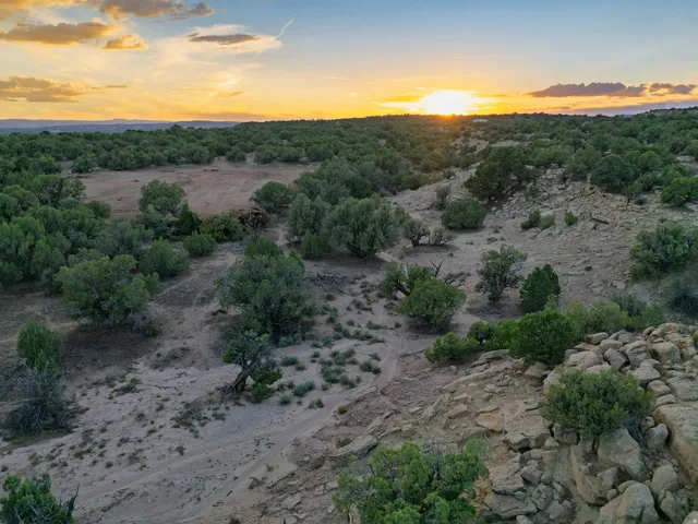 Expansive undeveloped land featuring mature trees and varied terrain