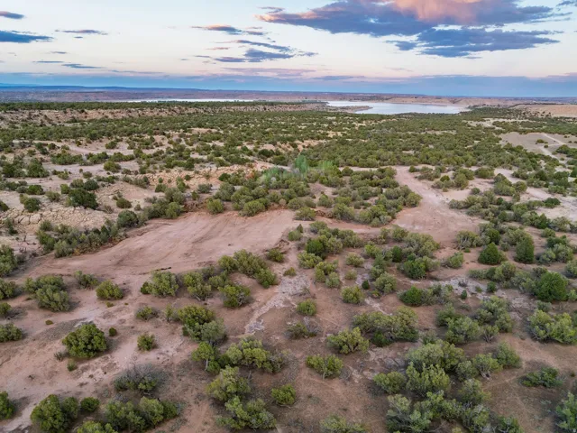 Expansive desert landscape featuring natural vegetation and distant water body