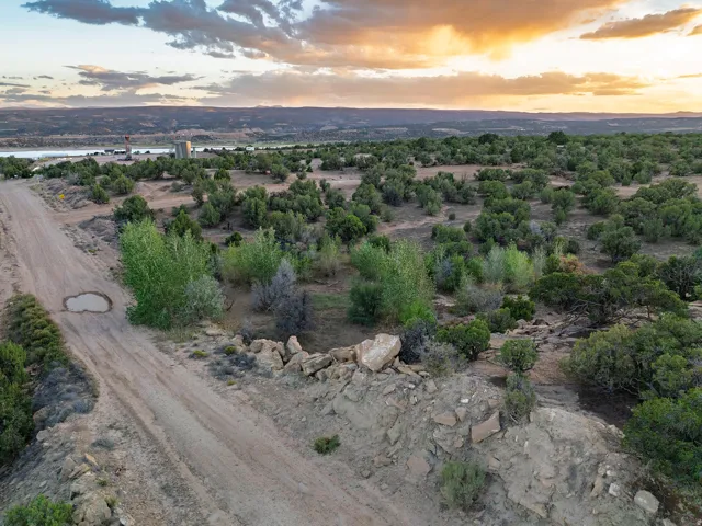 Expansive natural landscape featuring scattered trees, a dirt road, and distant body of water