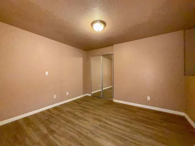 Wood-finish flooring, flush mount ceiling light fixture, and mirrored closet doors