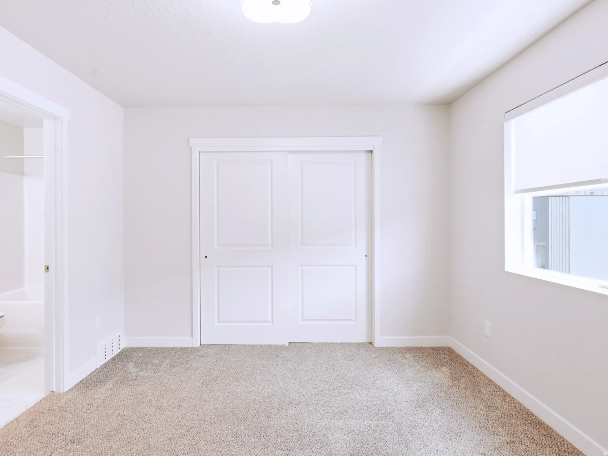 Neutral wall paint, plush carpet flooring, white trim, sliding panel closet doors, and an overhead light fixture
