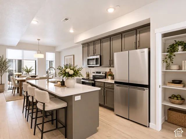 Kitchen featuring matte-finish cabinetry, quartz countertops, stainless steel appliances, a center island with an undermount sink, and a walk-in pantry with built-in shelving