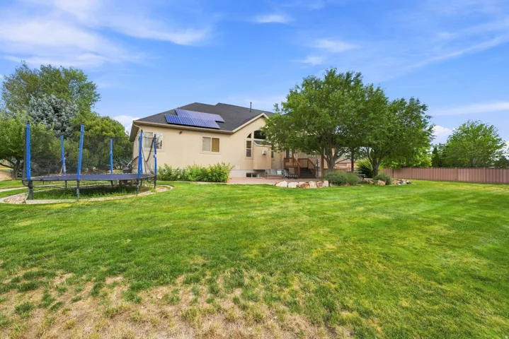 Expansive green lawn