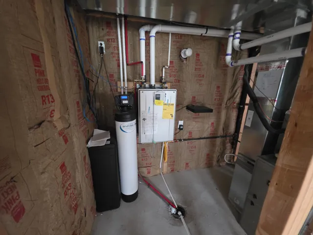Tankless water heater and water softener system