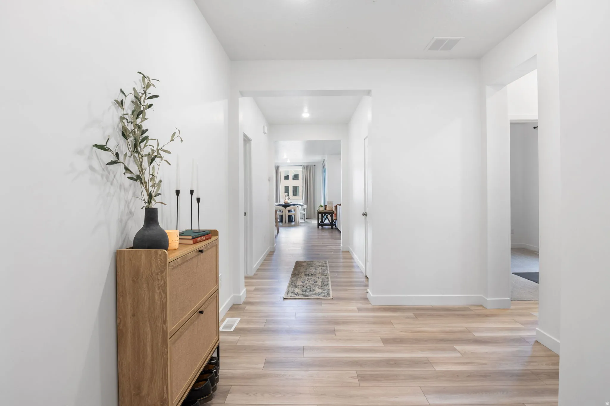 Entrance into the home