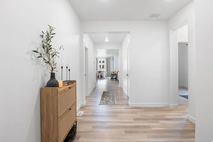 Entrance into the home