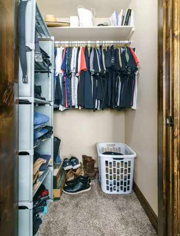 Built-in shelving unit, hanging rod, and carpet flooring within a functional closet space