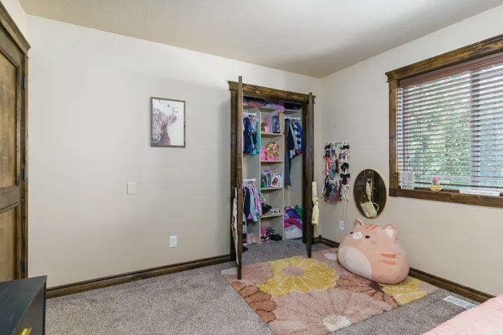 Plush carpeting, neutral wall tones, and contrasting dark wood trim