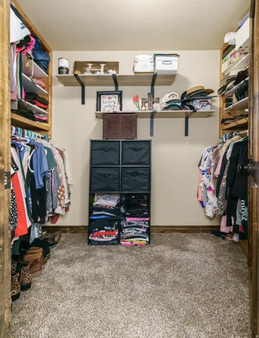Walk-in closet featuring carpet flooring, built-in shelving, and clothes hanging rods