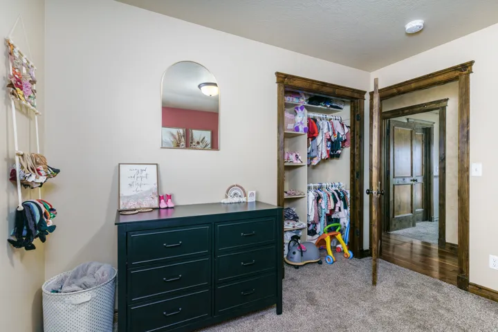 Carpeted flooring, wood-framed doorways, built-in closet shelving, and a built-in closet rod