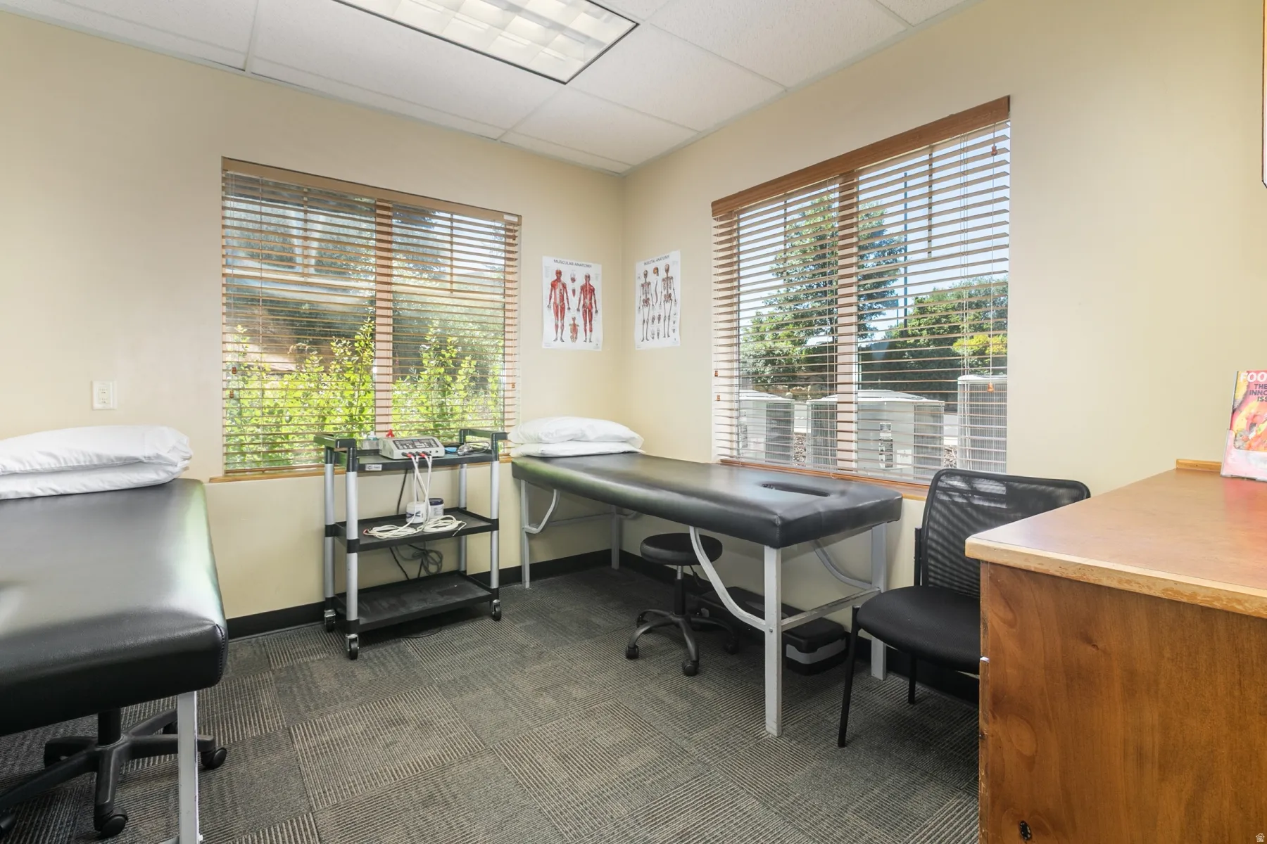 Recessed lighting, wood-finish window blinds, textured carpet flooring, and neutral wall paint