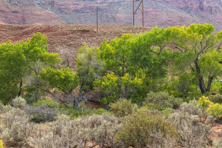1369 Legacy Dr, Moab, Utah 84532